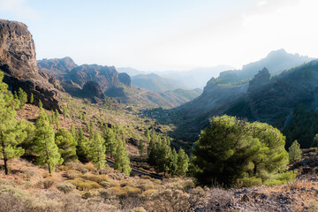 Fototapeta na wymiar Mountain landscape with trees and rocks