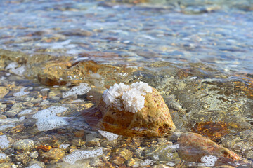 Obraz premium Close up of salt background. Natural salt. Dead Sea salt mineral natural formations. Salt crystals from Dead sea. View of Dead Sea coastline. Texture of Dead sea. Salty seashore rocks