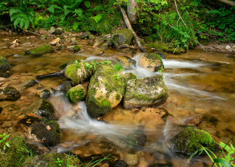 Water stream in Belgium Ardennes