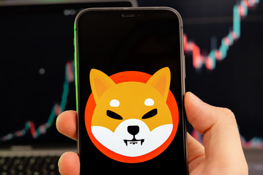 Shiba SHIB cryptocurrency logo on the screen of a smartphone in mans hand with a growing trend on the chart on a green background.