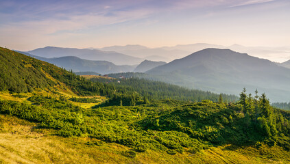 Beautiful sunrise in the Carpathians. Traveling along the mountains, freedom and active lifestyle concept. The beauty of the Carpathian Mountains. Vibrant photo