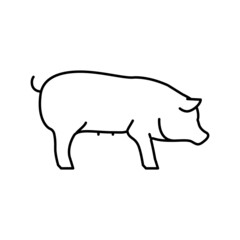 pig domestic animal line icon vector illustration