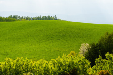 北海道美瑛の風景写真