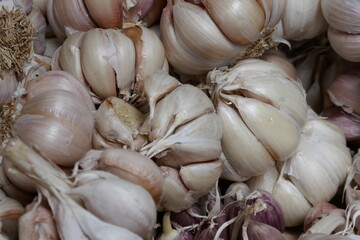 Garlic bulbs