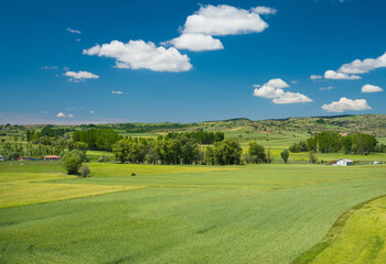 Fototapeta na wymiar Crop fields and agricultural village in spring
