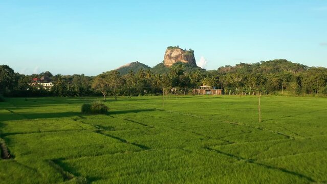Aerial view of Sigiriya Rock Fortress called Lion Rock during sunset, Sri Lanka