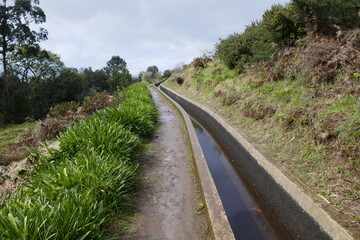 Levada walk in Madeira