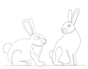 rabbit, hare one line drawing, outline