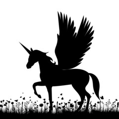 pegasus silhouette on white background, isolated