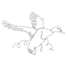 duck flying one line drawing, outline