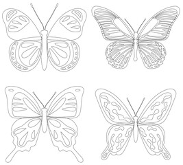 butterflies outline, sketch on white background