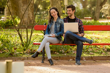 Friends studying in the park