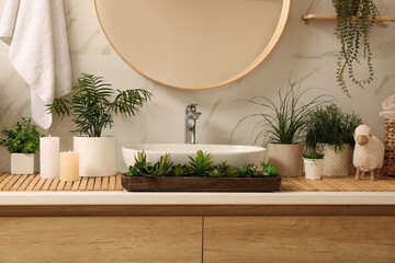 Counter with sink and many different houseplants near white marble wall