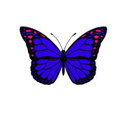 Butterfly art stock illustration. The theme is associated with blue and pink beautiful butterflies on white background.