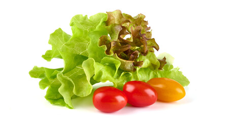 Organic Oak Lettuce, isolated on white background.