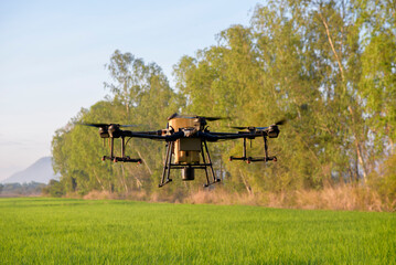 Agriculture drone flying and spraying fertilizer and pesticide over farmland,High technology innovations and smart farming