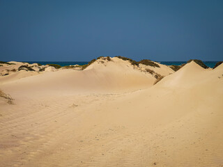 Sand dunes on Atlantic Ocean coastline, Boa Vista Island, Cape Verde. Bright sandy terrain, warm winter day. Selective focus on the details, blurred background.