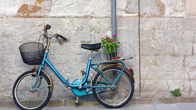 Blue vintage bicycle against an exterior wall with a flowerpot in its rear basket