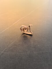 Papierowy ślimak © Daria