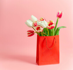 Tulips in a red bag on a pink background.
