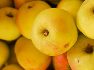 several yellow -red apples are lying on top of each other