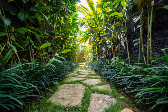 garden path at luxury resort in Bali