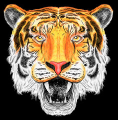 Illustration of Tiger Face with lines and black background