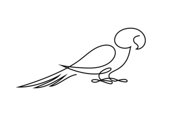Parrot bird in continuous line art drawing style. Minimalist black linear design isolated on white background. Vector illustration