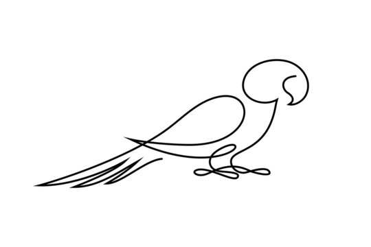 Parrot bird in continuous line art drawing style. Minimalist black linear design isolated on white background. Vector illustration