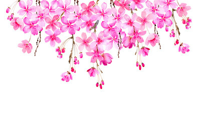 Watercolor pink floral border. Romantic sakura blossom, blooming bouquet. Botanical nature design isolated on white. Spring wedding invitation, greeting, card, banner, label