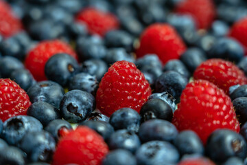 A group of fresh raspberries and blueberries, red and blue