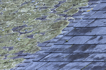 Mousse et lichens sur toiture ancienne en ardoises	
