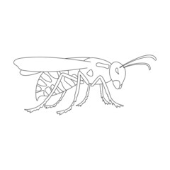 Wasp vector outline icon. Vector illustration insect wasp on white background. Isolated outline illustration icon of insect hornet.