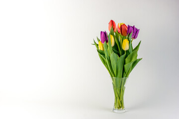 Bouquet of yellow, red and violet tulips in a glass jar on a white background