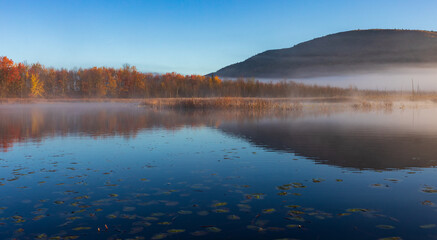 Fall Foliage Reflection