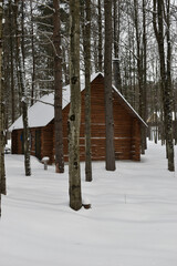 La Plaine 20 Février 2022