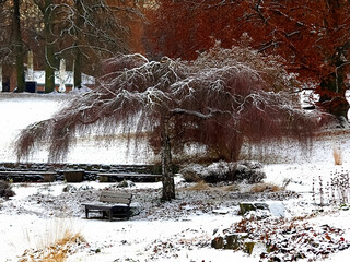 Beautiful Hoehenpark Killesberg in Stuttgart