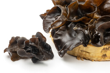 Muer mushrooms on wooden cross section isolated on white background. Jew`s ear mushrooms studio shot. Edible dark fungus - auricularia polytricha, also known as cloud ear, black mushroom, jelly fungus