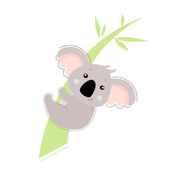Funny koala on a bamboo branch
