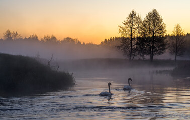 sunrise on the river