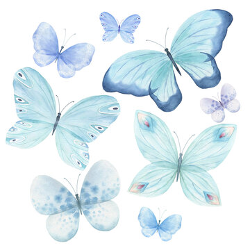 Watercolor butterfly cliparts set. Hand drawn illustration