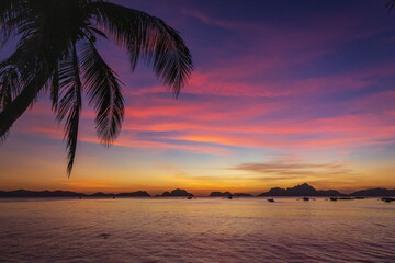 Fototapeta na wymiar Picturesque tropical sunset. Dramatic evening sky above island. Palm tree and isles silhouettes. Exotic seascape in evening twilight. El Nido lagoon in night dusk. Tropical vacations.