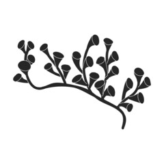 Seaweed vector icon.Black vector icon isolated on white background seaweed.