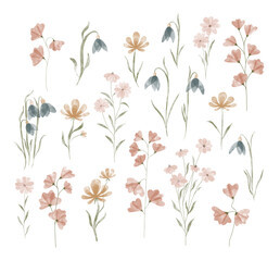 Watercolor trendy flowers. Vector illustration for web, app and print. Elegant feminine shapes floristic isolated daisies, bluebells, sweet peas flowers. Garden, botanical, minimalistic floral set.