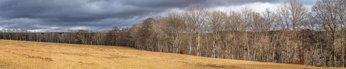 Auf dem Dreifaltigkeitsberg bei Tuttlingen