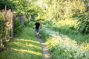 Fototapeta na wymiar Little boy and favorite companion dog coker spaniel friend walking garden, trees, greenery, street. Light day outdoor