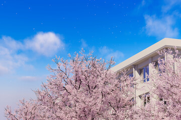 青空に舞う桜と学校の校舎 / 学園ロケーション・卒業と入学・春の新生活のコンセプトイメージ / 3Dレンダリンググラフィックス