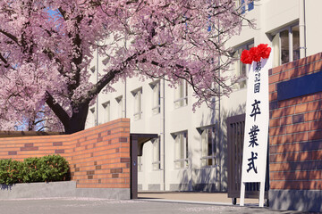 桜が満開に咲く卒業式当日の校門と看板 / 春の学園ロケーション・卒業式・青春とノスタルジーのコンセプトイメージ / 3Dレンダリンググラフィックス