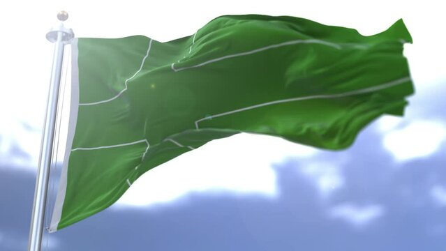 Ladonia flag waving against the sky. High quality 4k footage