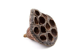 Dried lotus flower pod with empty holes isolated on white
